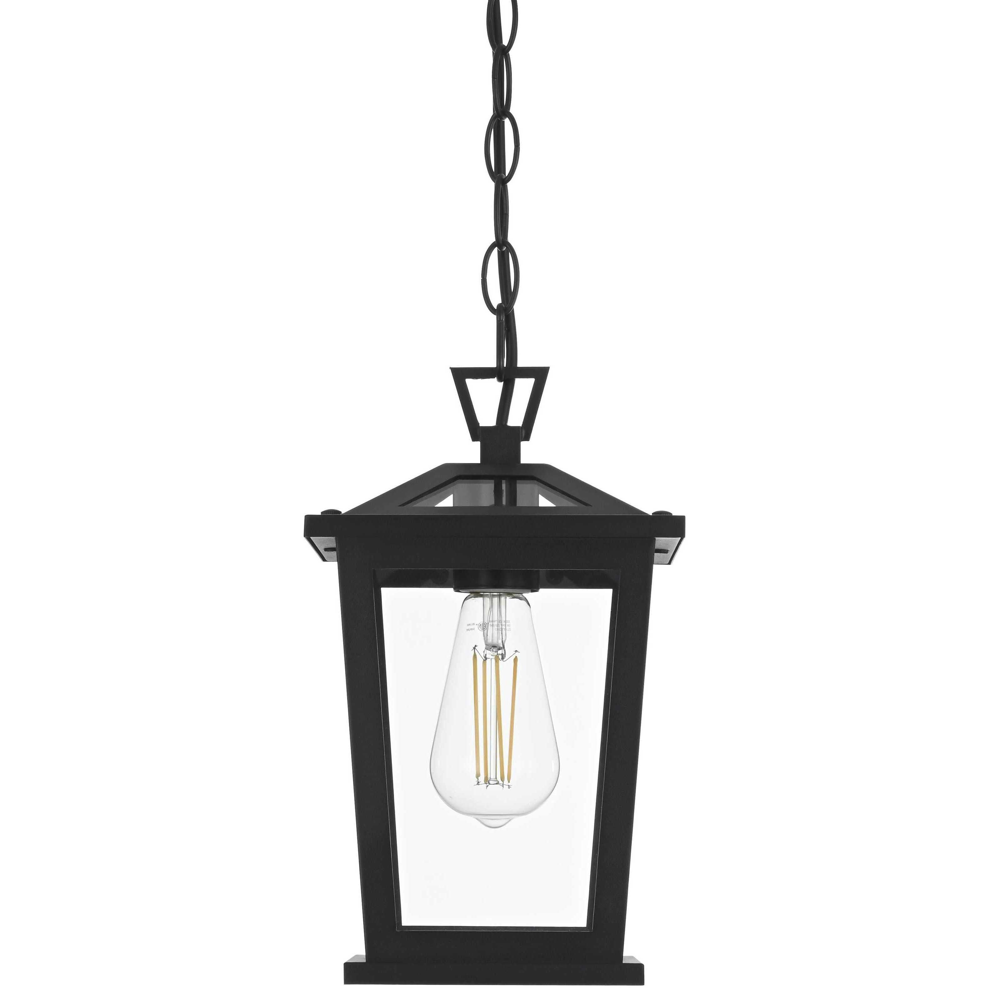 Cayman 1 Light 7 inch Black Outdoor Pendant