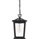 Cayman 1 Light 7 inch Black Outdoor Pendant