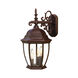 Wexford 3 Light 18 inch Burled Walnut Exterior Wall Mount