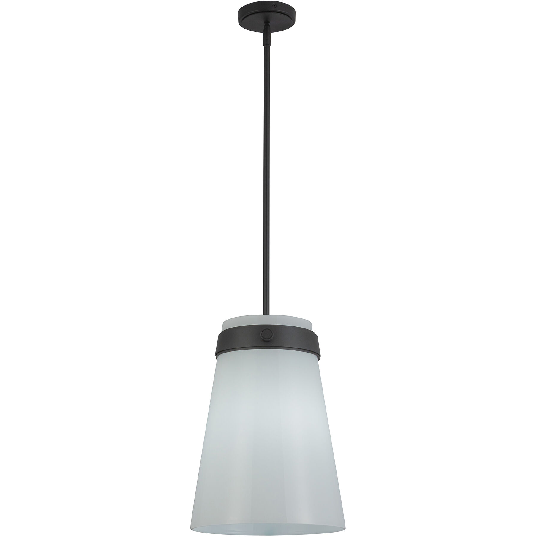 Dahlia 1 Light 12 inch Black Pendant Ceiling Light