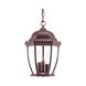 Wexford 3 Light 10 inch Burled Walnut Exterior Hanging Lantern