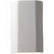 Ambiance Collection LED 9.25 inch Antique Silver Outdoor Wall Sconce