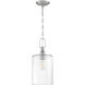 Neighborhood Dardyn 1 Light 8 inch Brushed Polished Nickel Mini Pendant Ceiling Light