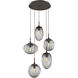 Cosmos Incandescent 5 Light 24.4 inch Flat Bronze Chandelier Ceiling Light in Smoke Cosmos, Round Multi-Port