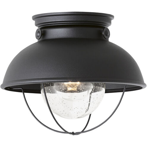 Sebring 1 Light 11.25 inch Black Outdoor Ceiling Flush Mount