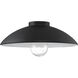 RLM 14.00 inch Outdoor Lighting Accessory