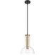 Nova 1 Light 10 inch Matte Black Pendant Ceiling Light