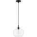 Aldrich 1 Light 10 inch Black with Brushed Nickel Accent Pendant Ceiling Light