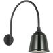 Thomas O'Brien Academy Barn Light LED 21 inch Matte Black Arched Mack Barn Light in 8" Green Rockhouse Shade