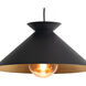 Viggo 1 Light 16 inch Black Pendant Ceiling Light, Small