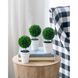 Saguaro Blue Décor