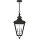 Adams 3 Light 10.63 inch Black with Brushed Nickel Finish Cluster Outdoor Large Pendant Lantern Ceiling Light in Black with Brushed Nickel Accent