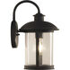 O'Fallon 1 Light 13 inch Dark Bronze Gilded Outdoor Wall Mount