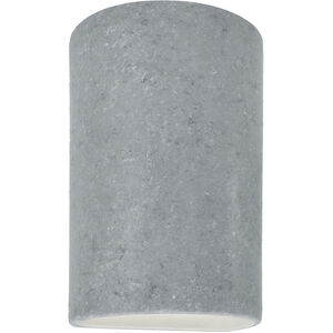 Ambiance 1 Light 9.5 inch Concrete Outdoor Wall Sconce