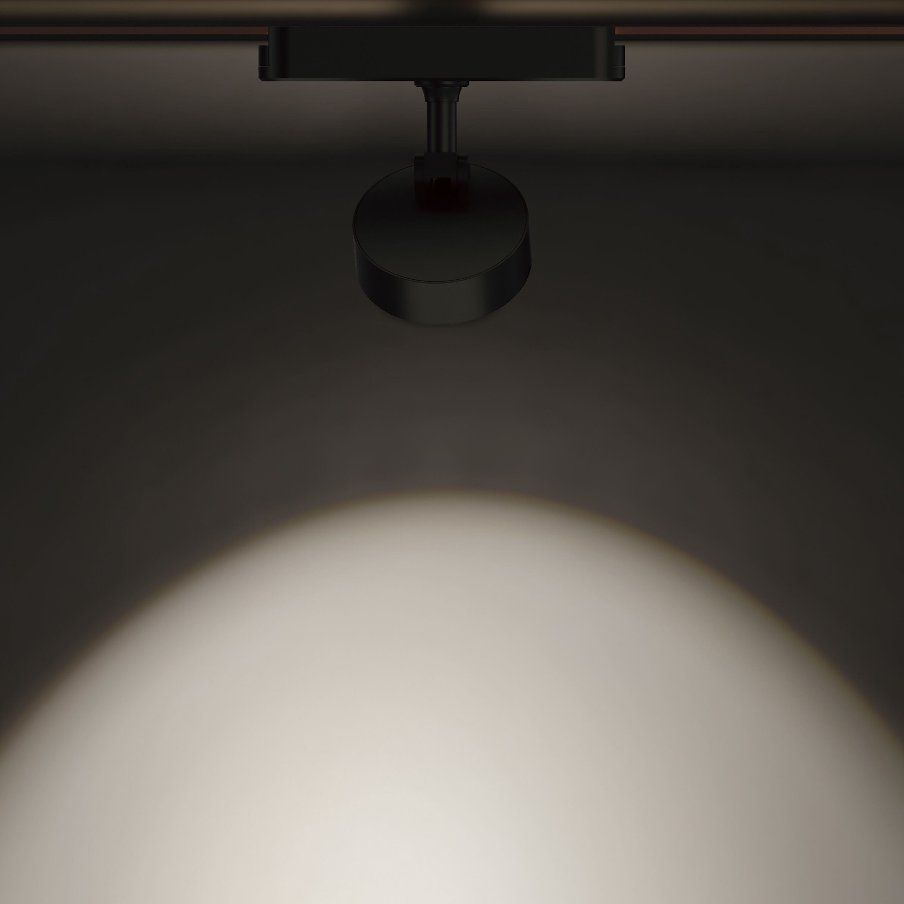 Continuum - Track 1 Light 120 Black Track Light Ceiling Light