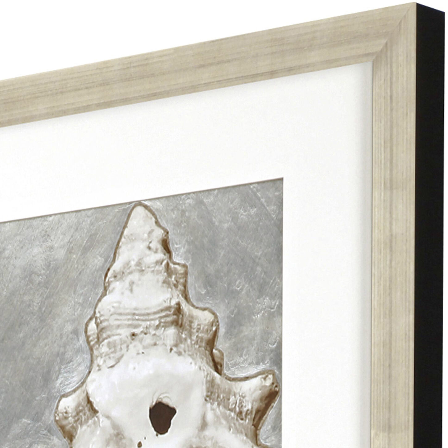 Modern Shell Sepia and Metallic and Neutral Framed Art, The Studio