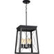Briarwood 4 Light 15.5 inch Textured Black Foyer Light Ceiling Light