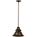Union 1 Light 12 inch Oiled Bronze Gilded Outdoor Pendant, Medium