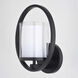 Princeton LED 8 inch Black Wall Light