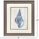 Ocean Echoes Blue and Brown Framed Art, Propac