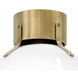 Argo LED 13 inch Heritage Brass Indoor Flush Mount Ceiling Light in Heritage Brass / Cased Opal