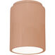 Radiance 1 Light 6.5 inch Gloss Blush Outdoor Flush Mount in Incandescent