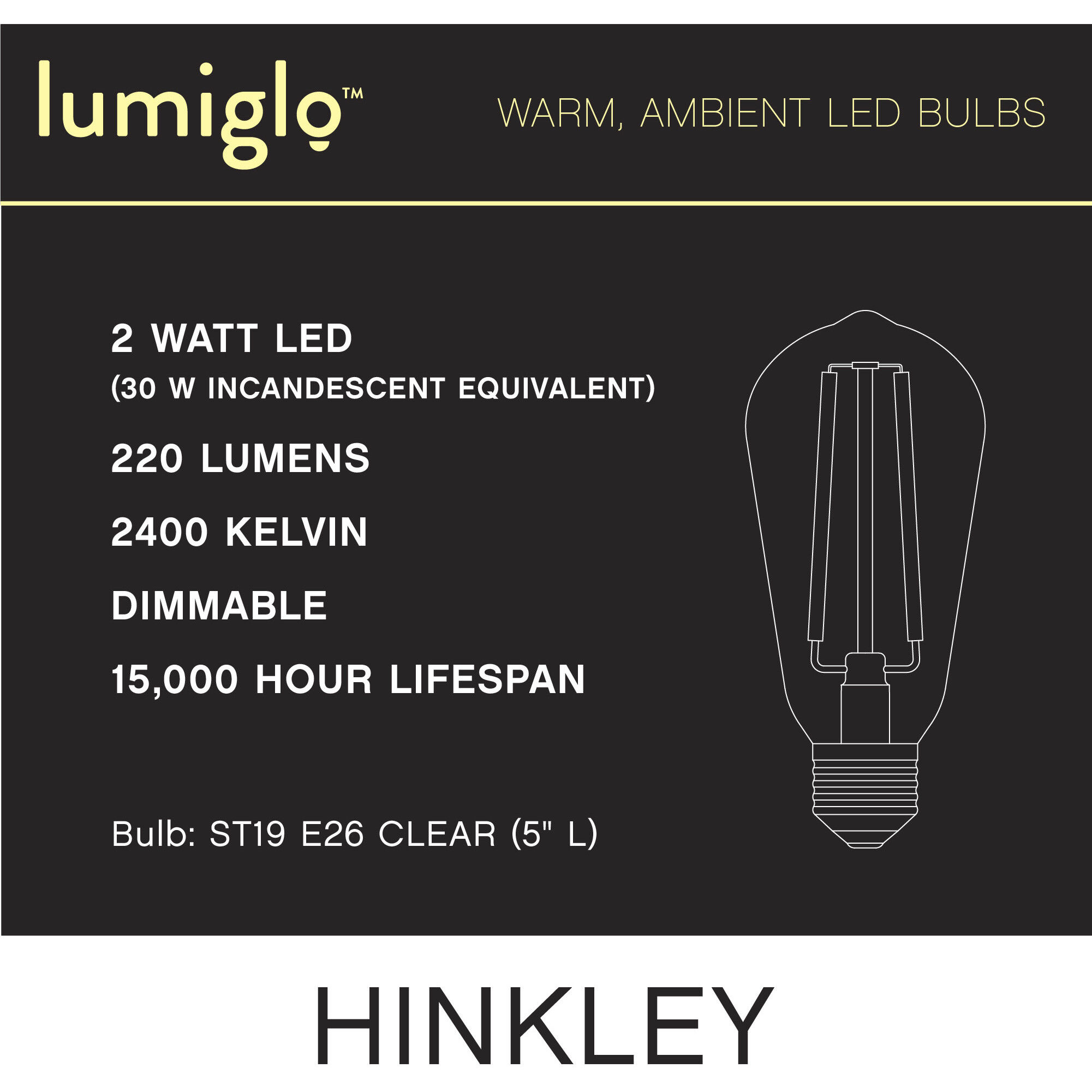 LumiGlo Med. 2.00 watt 120v 2400 LED Bulb
