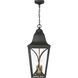 Cardigan 3 Light 11 inch Sand Coal and Olden Brass Outdoor Pendant, Great Outdoors