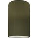 Ambiance LED 7.75 inch Matte Green ADA Wall Sconce Wall Light