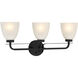 Kaitlen 3 Light 24 inch Coal Bath Light Wall Light