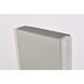 Raine Outdoor Wall Light in Silver