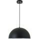 Forte 1 Light 16 inch Black Pendant Ceiling Light