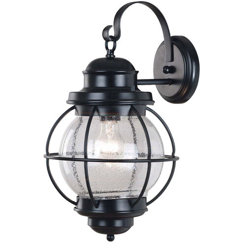 Hatteras 1 Light 14 inch Black Outdoor Wall Lantern, Large