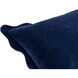 Effervescent 20 X 20 inch Blue Accent Pillow