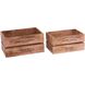 English Bulbs 16 X 11 inch Natural with Black Box