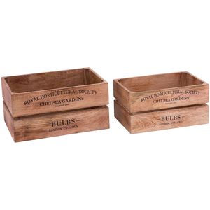 English Bulbs 16 X 11 inch Natural with Black Box