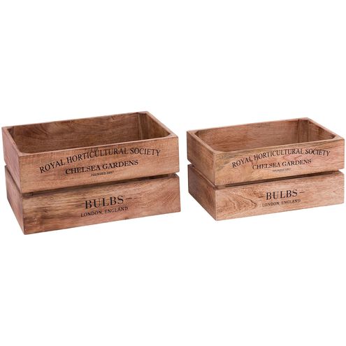 English Bulbs 16 X 11 inch Natural with Black Box