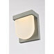 Raine Outdoor Wall Light in Silver