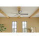 Lucian 60 inch Polished Nickel with Black/Silver Blades Ceiling Fan