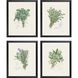 Culinary Collection Green Framed Art
