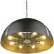 Aldrich Pendant Ceiling Light in Aged Brass, Matte Black