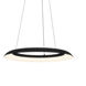 Torus 1 Light 24 inch Satin Black Pendant Ceiling Light