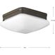 Appeal 2 Light 9 inch Antique Bronze Flush Mount Ceiling Light
