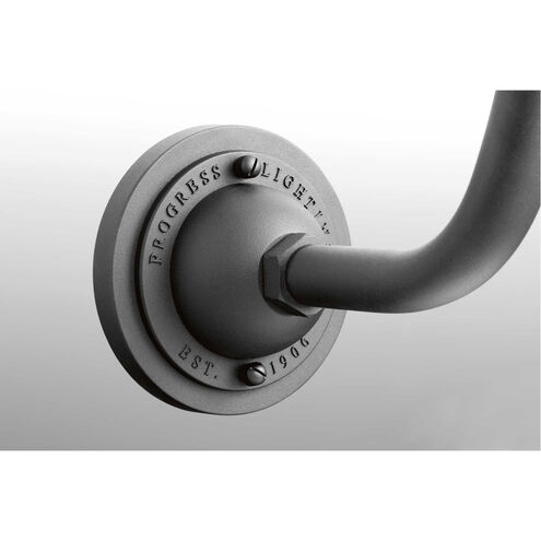 Cedar Springs 1 Light 11 inch Pistachio Outdoor Wall Lantern, Extra Large