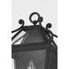 Santa Barbara County 1 Light 17 inch French Iron Outdoor Wall Sconce, Small