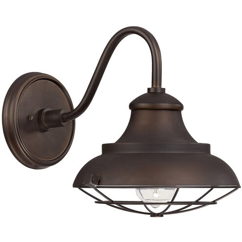 Crowlery 1 Light 11 inch Burnished Bronze Outdoor Wall Lantern
