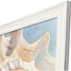 Shells Collection White and Beige and Turquoise Framed Art
