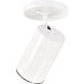 Brentwood 1 Light White Semi Flush Mount Ceiling Light