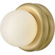 Noa 1 Light 8 inch Lacquered Brass Convertible Flush Mount Ceiling Light