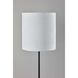 Brielle 62 inch 100.00 watt Black Floor Lamp Portable Light